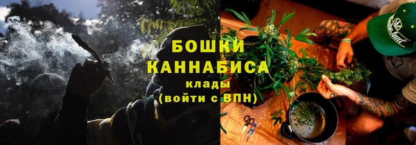 шишки Баксан