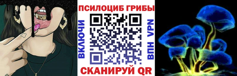 Галлюциногенные грибы Psilocybe  Кувандык 